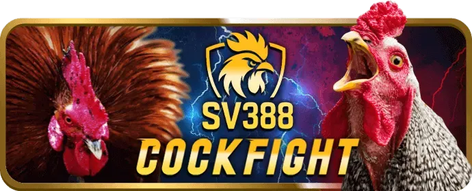 Găng tay boxing trên sàn đấu, tượng trưng cho cá cược quyền anh du388